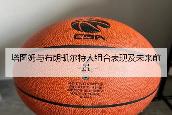 塔图姆与布朗凯尔特人组合表现及未来前景