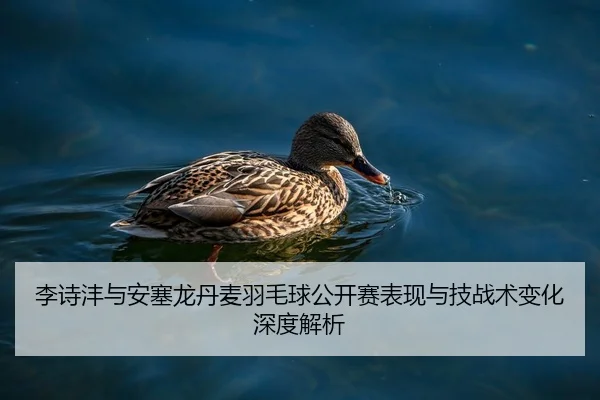 李诗沣与安塞龙丹麦羽毛球公开赛表现与技战术变化深度解析 | imsports